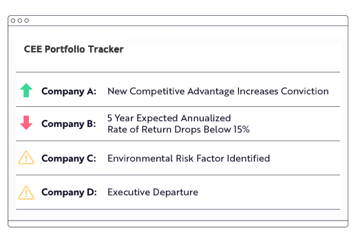 CEE investment process